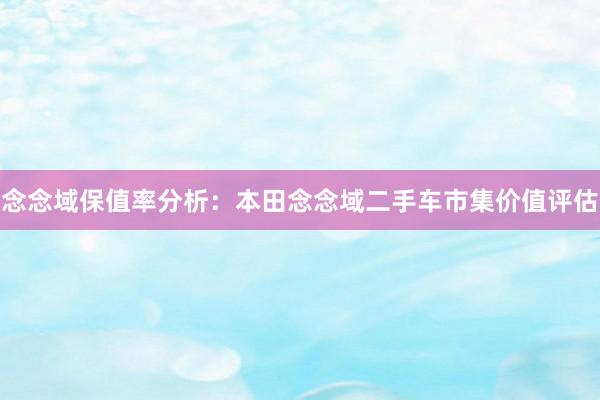 念念域保值率分析：本田念念域二手车市集价值评估