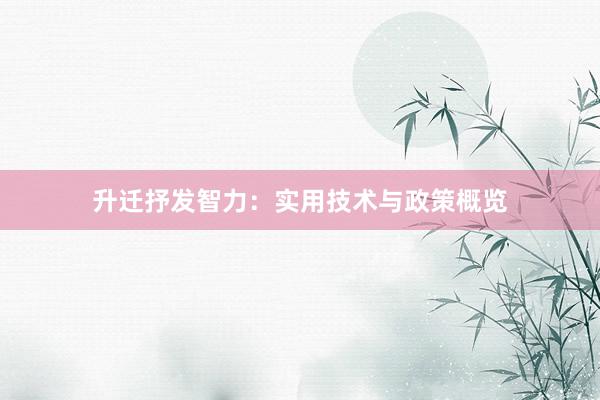 升迁抒发智力：实用技术与政策概览